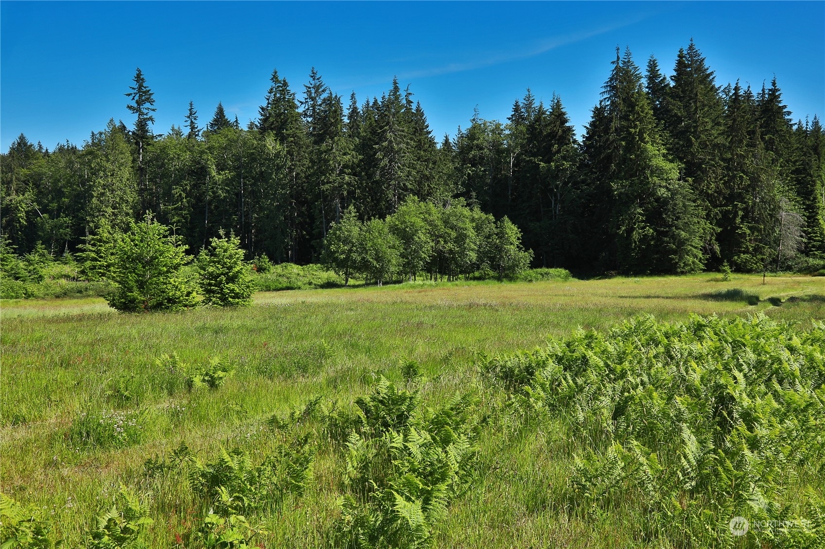 Property Photo:  0 Lot 1111 East Harbor Road  WA 98249 