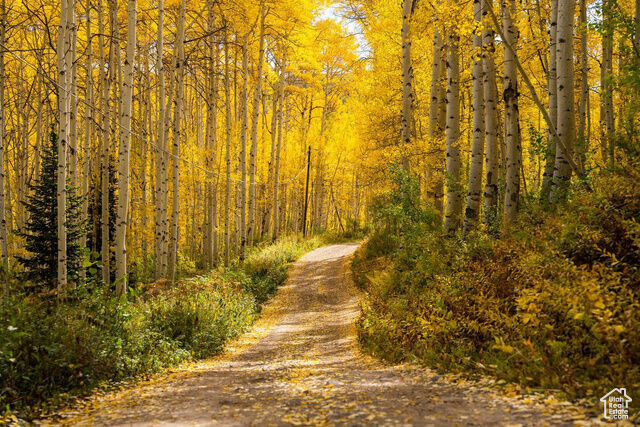 Property Photo:  Address not disclosed  UT 84049 