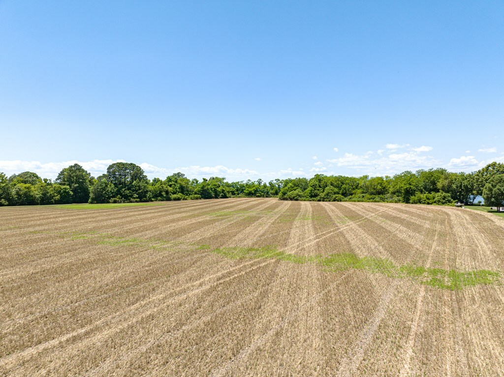 Property Photo:  20.25 Ac Barn Woods Rd  VA 23417 