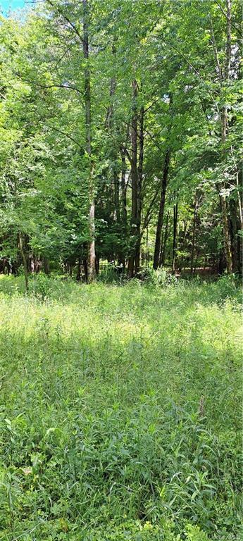Property Photo:  Ulster Heights Road  NY 12489 