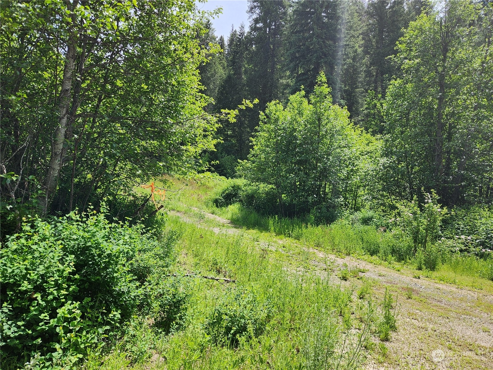 Property Photo:  0 Tbd Well Creek Road  WA 99140 