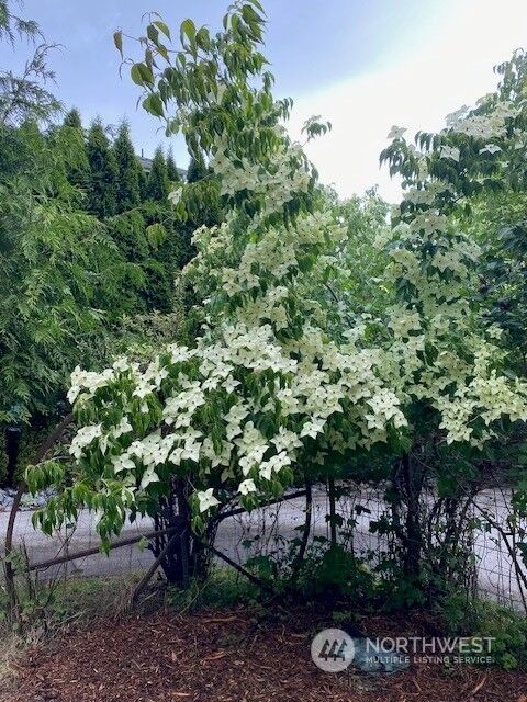 Property Photo: 4425 Minor Way WA 98253