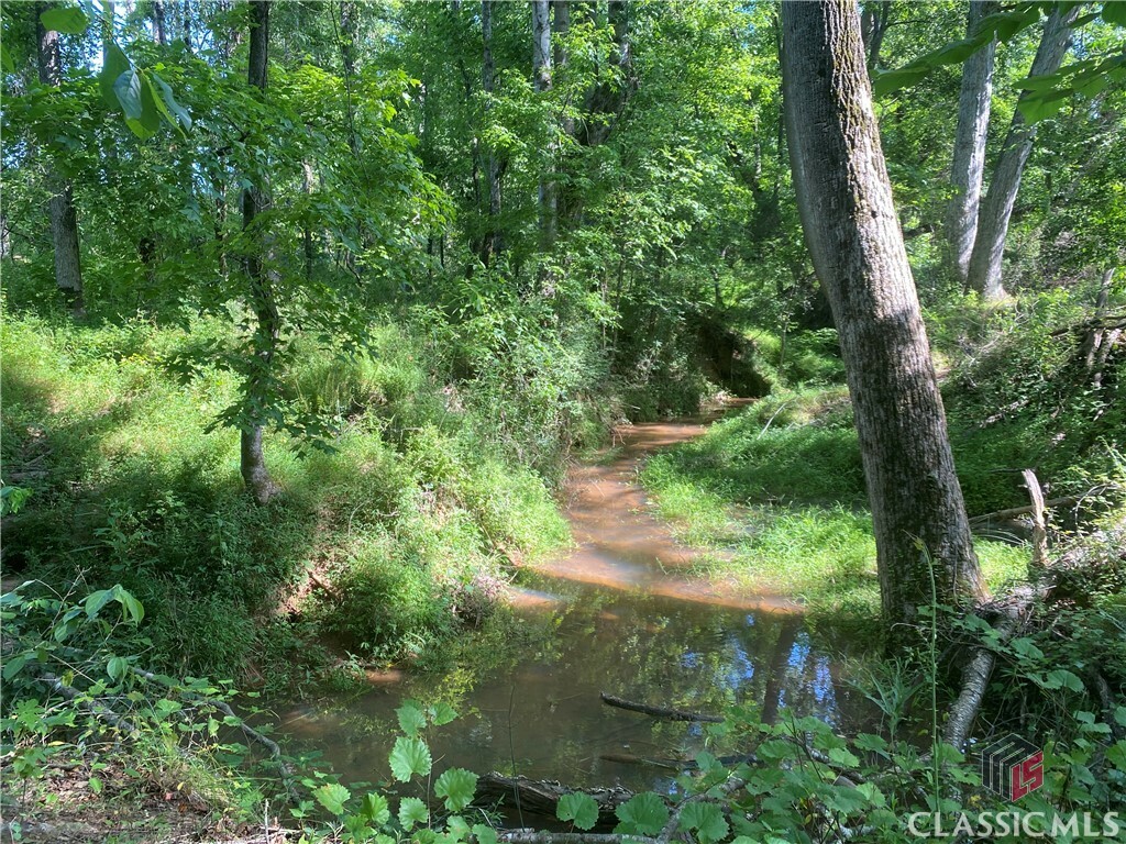 Property Photo:  1710 Whistling Creek Crossing Lot 18  GA 30622 