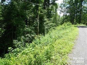 Property Photo:  Lot 30 Coon Creek Road 30  NC 28734 