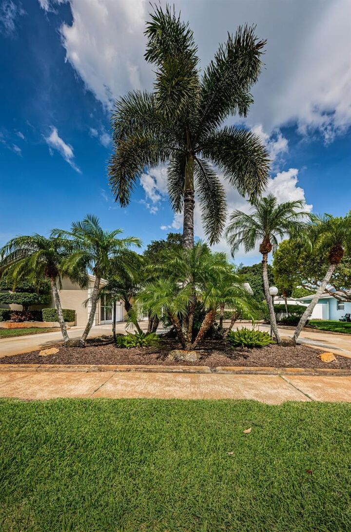 Property Photo: 11145 Hammock Drive FL 33774