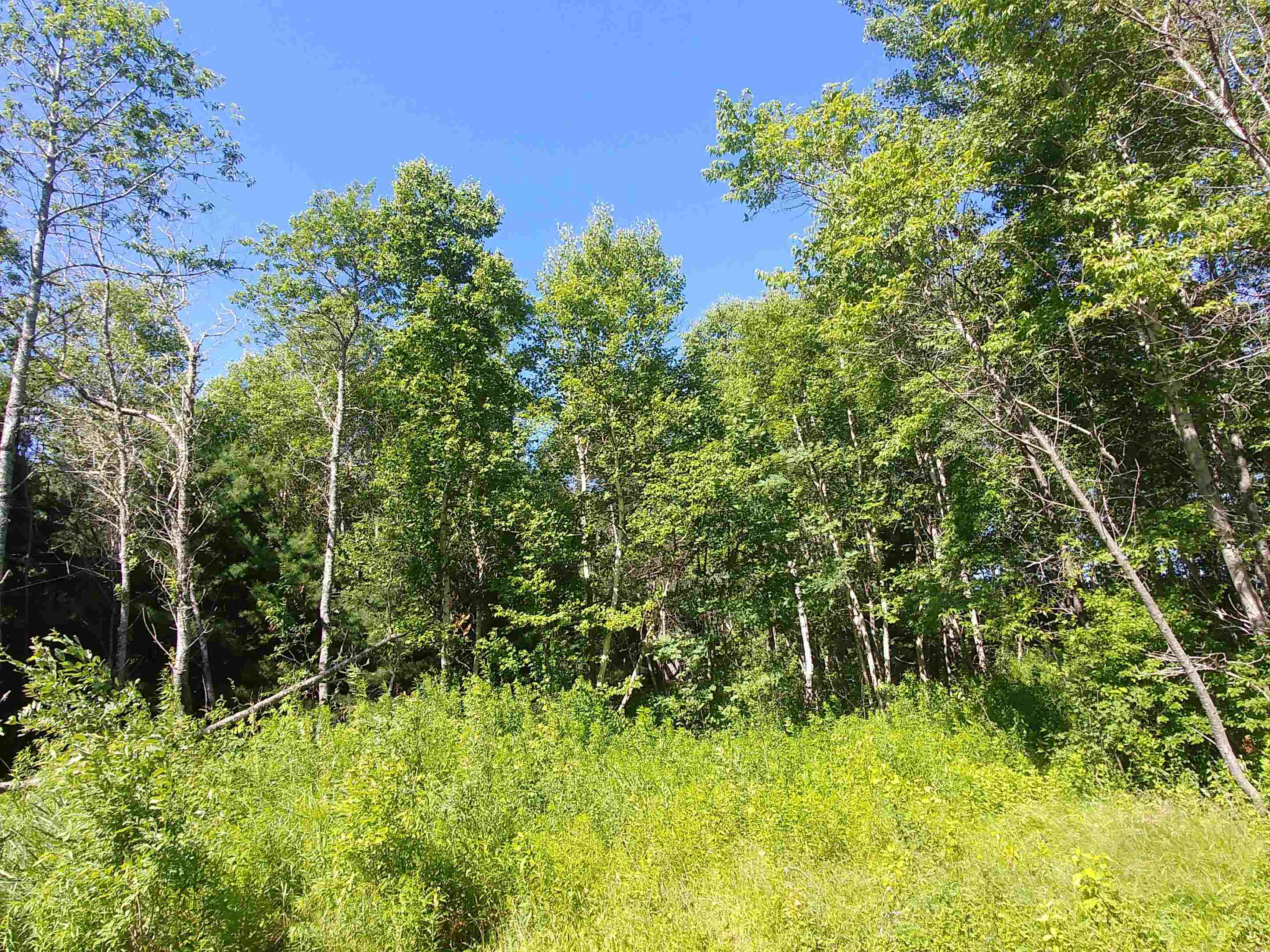 Photo de la propriété:  Lot 5 Birch Lane Lane  PE C0A 1L0 