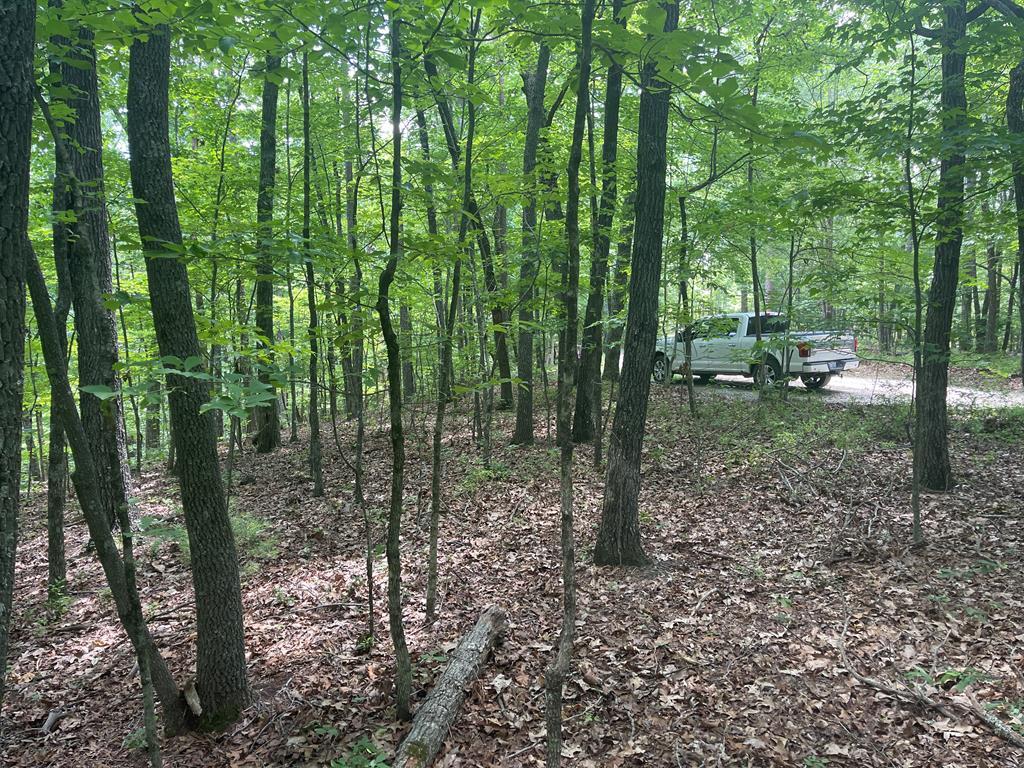 Property Photo: 0000 Berry Hill Road NC 28906