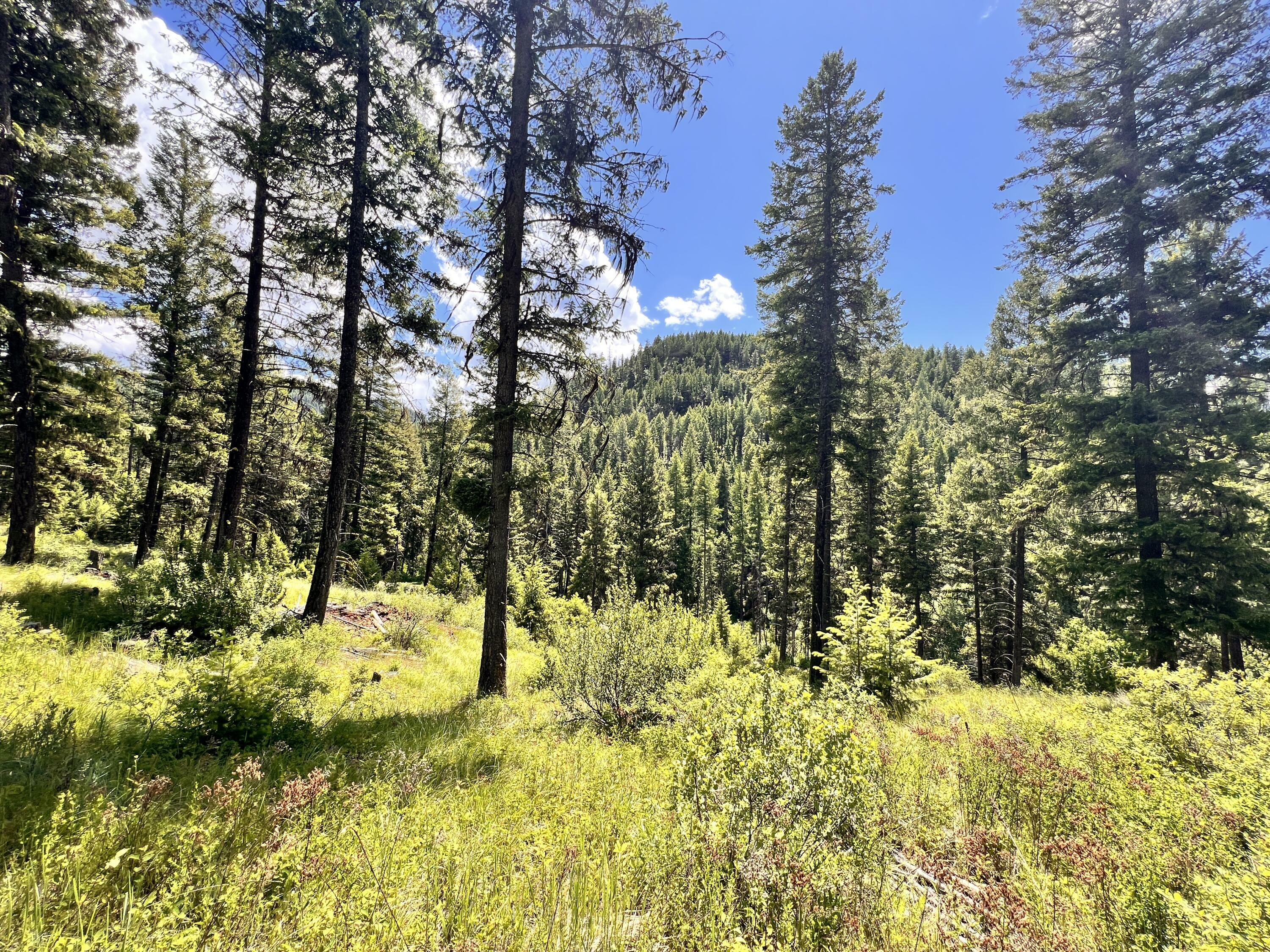 Property Photo:  Tbd Old Kettle Falls Rd  WA 99166 