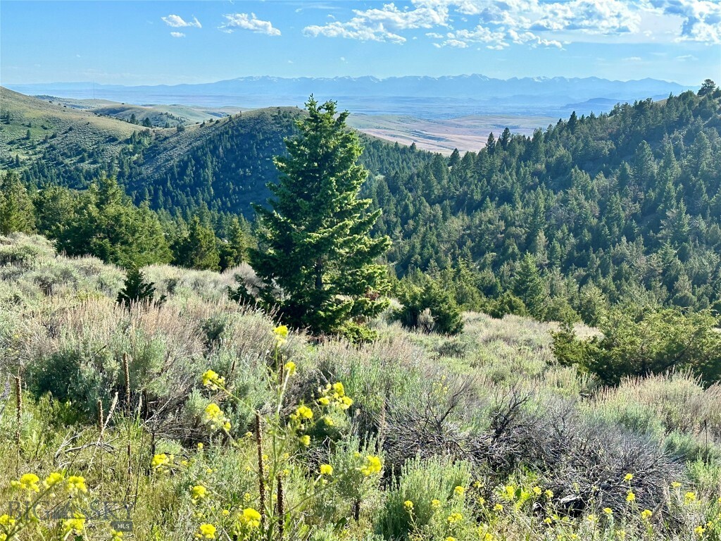 Property Photo:  Lot 327 Tbd Lone Wolf Trail  MT 59752 