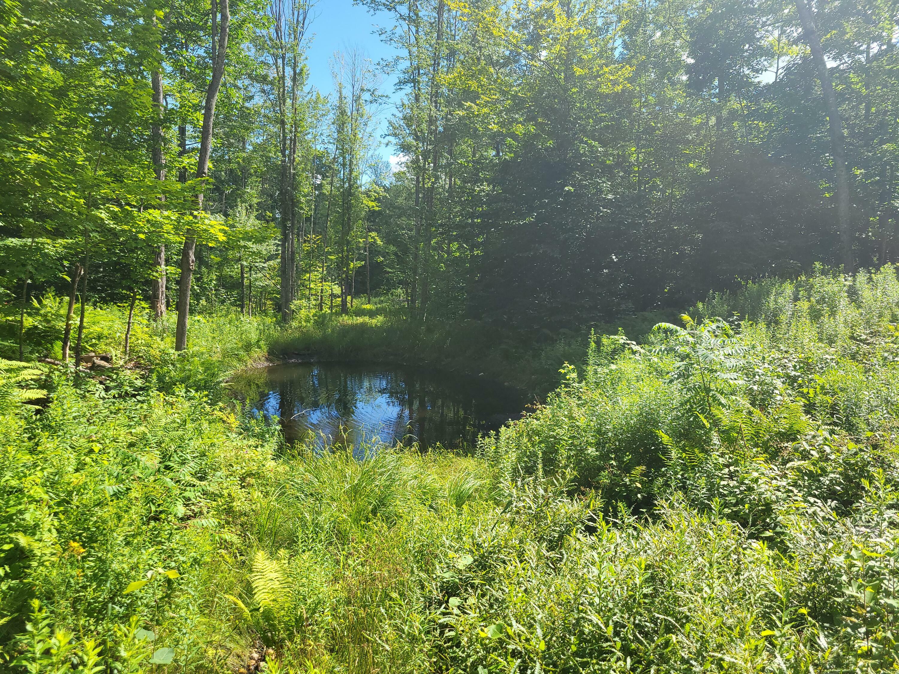 Property Photo:  Lot39 Tripptown Road  ME 04041 