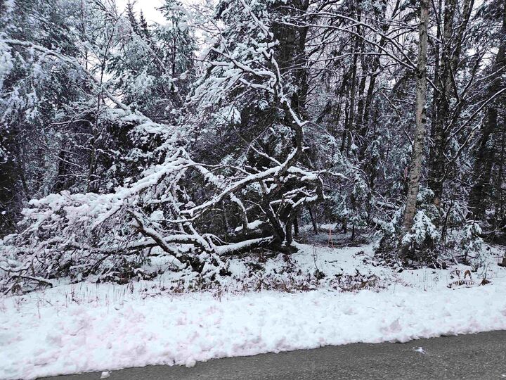 Property Photo:  Lot 15 Hadley Road  NH 03586 