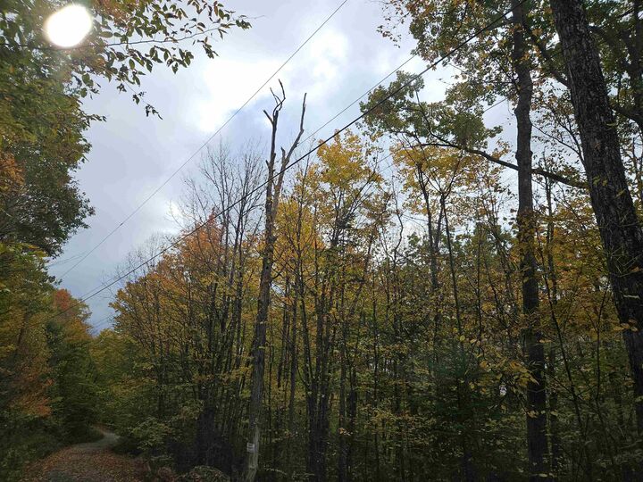 Property Photo: Lot 15 Hadley Road NH 03586