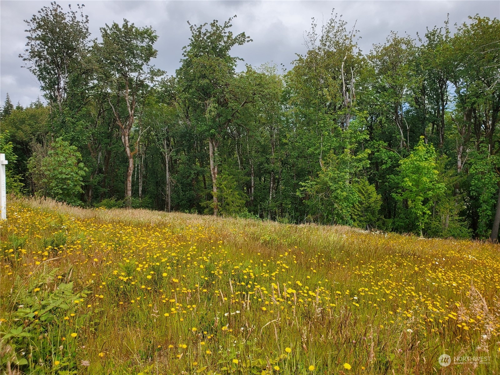 Property Photo:  911 SE Mill Creek Road  WA 98584 