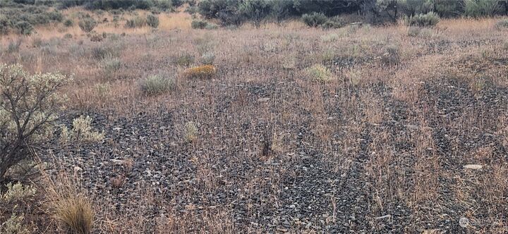 Property Photo:  1531  Canyon Trail  WA 98823 