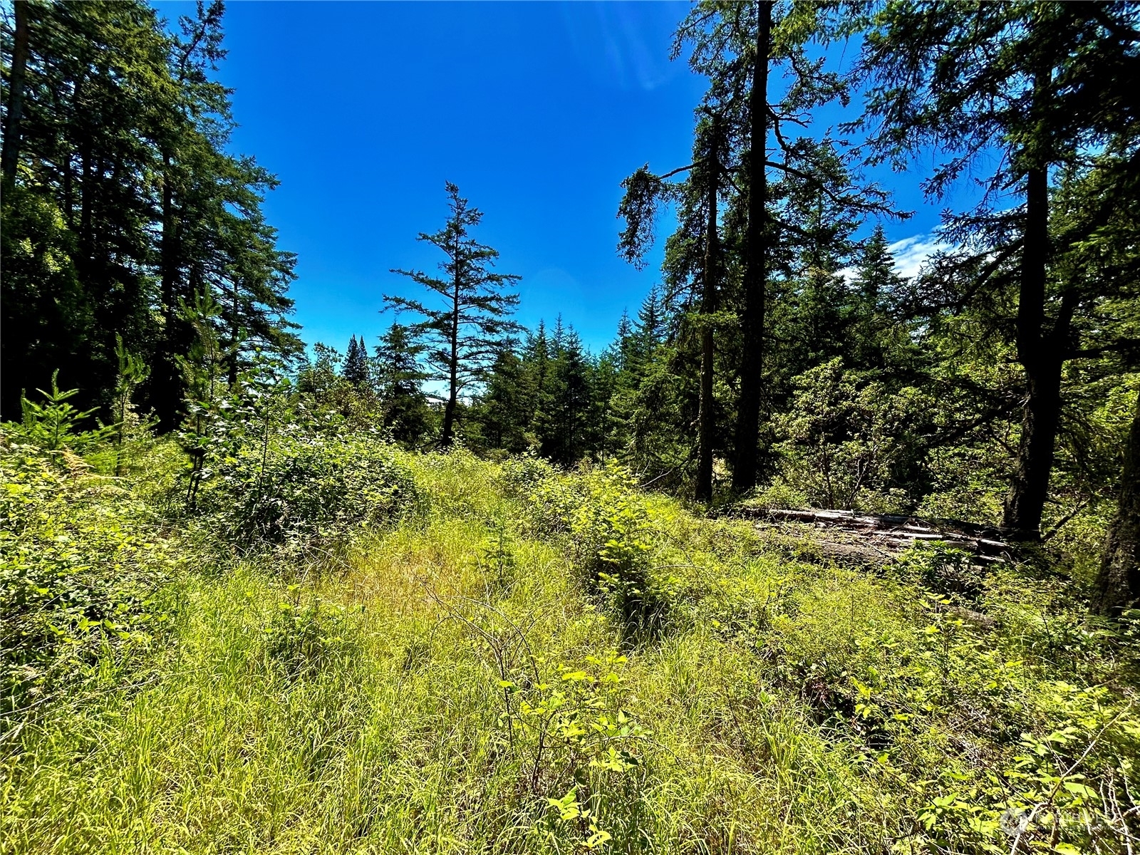 Property Photo:  0 Salmonberry Lane  WA 98250 