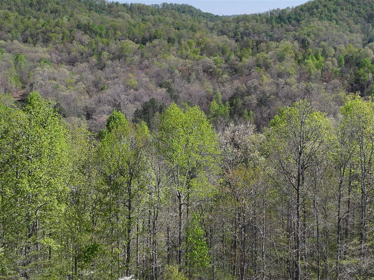 Property Photo:  0 Holly Fork Road  KY 40983 