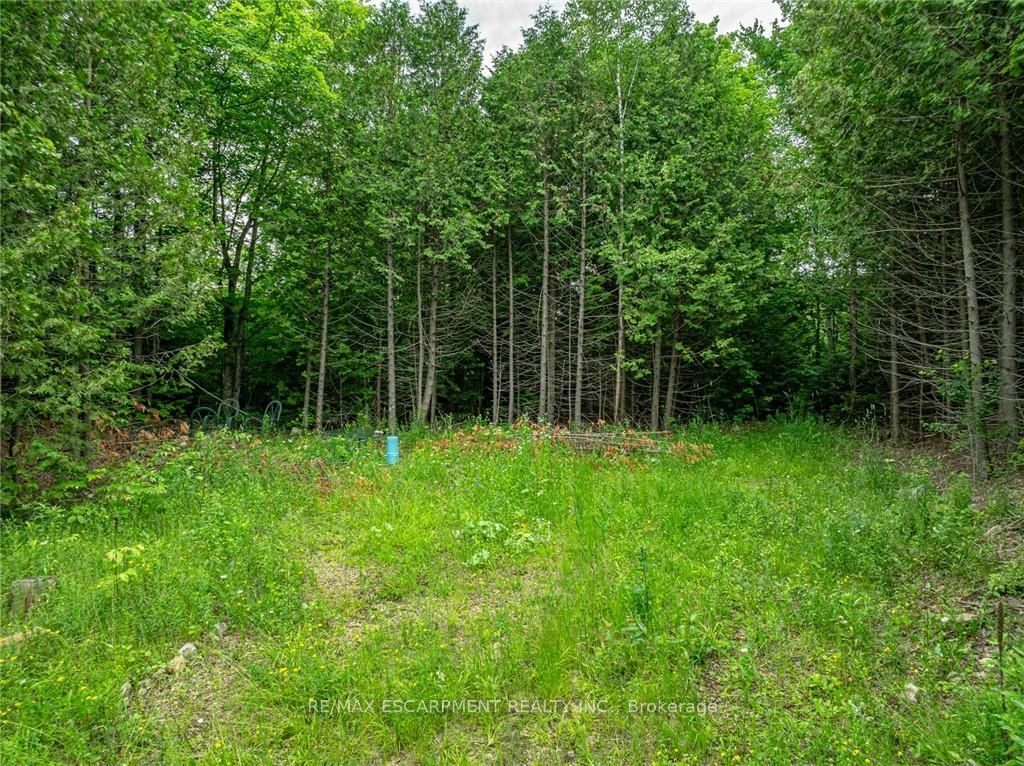 Property Photo:  Lot 31 8th Concession B  ON N0C 1M0 