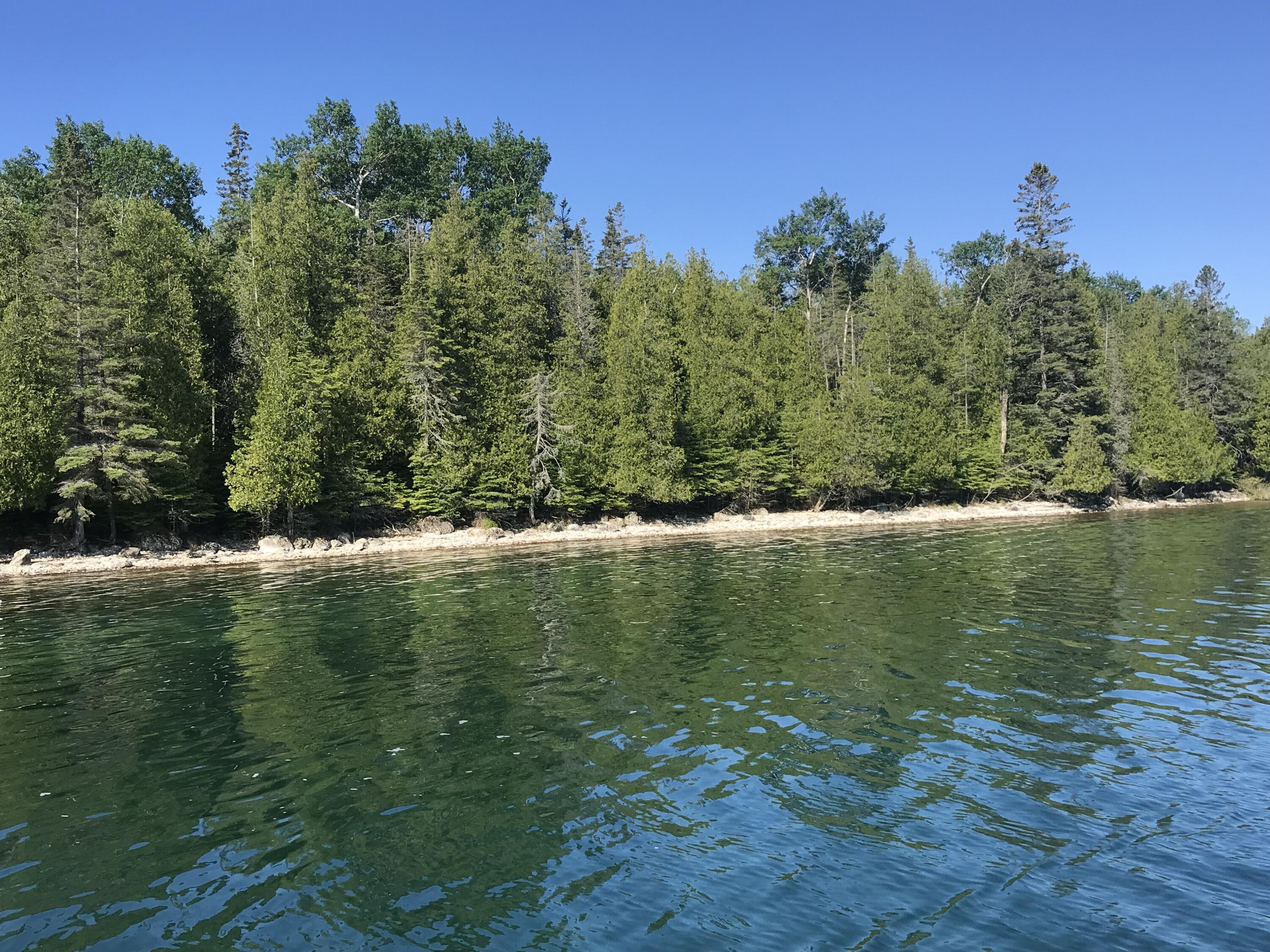 Property Photo: Tbd S Coryell Island MI 49719
