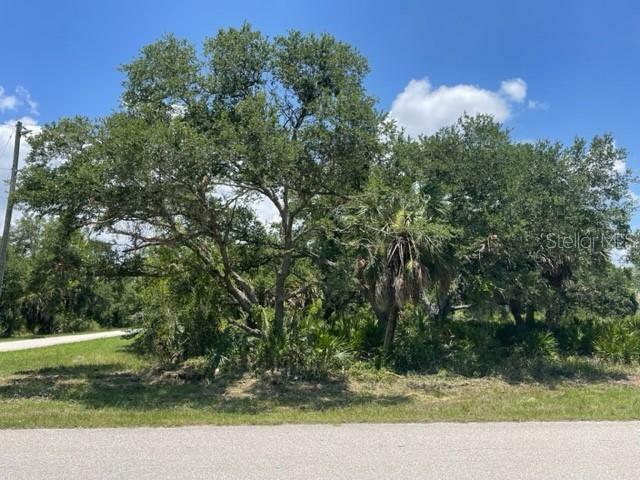 Property Photo:  17130 Alvin Avenue  FL 33948 