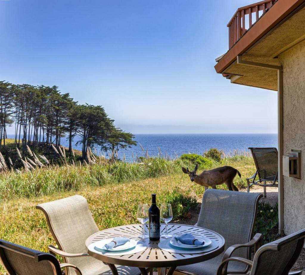 68 Seascape Resort Drive  Aptos CA 95003 photo