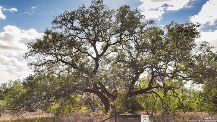 327 Pr Sunset Vista Dr Lot 74  Somerset TX 78069 photo