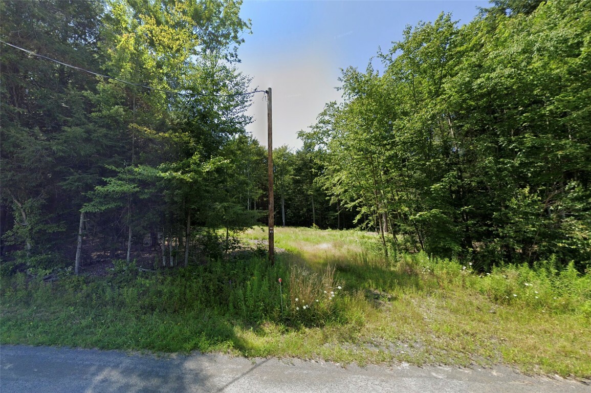 Property Photo:  39 Waverly Road  NY 13862 