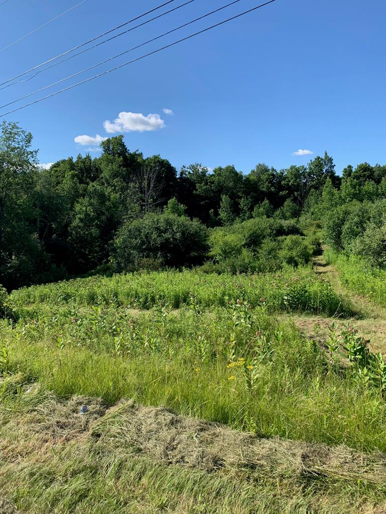 Property Photo:  0 County Road 16  NY 14891 