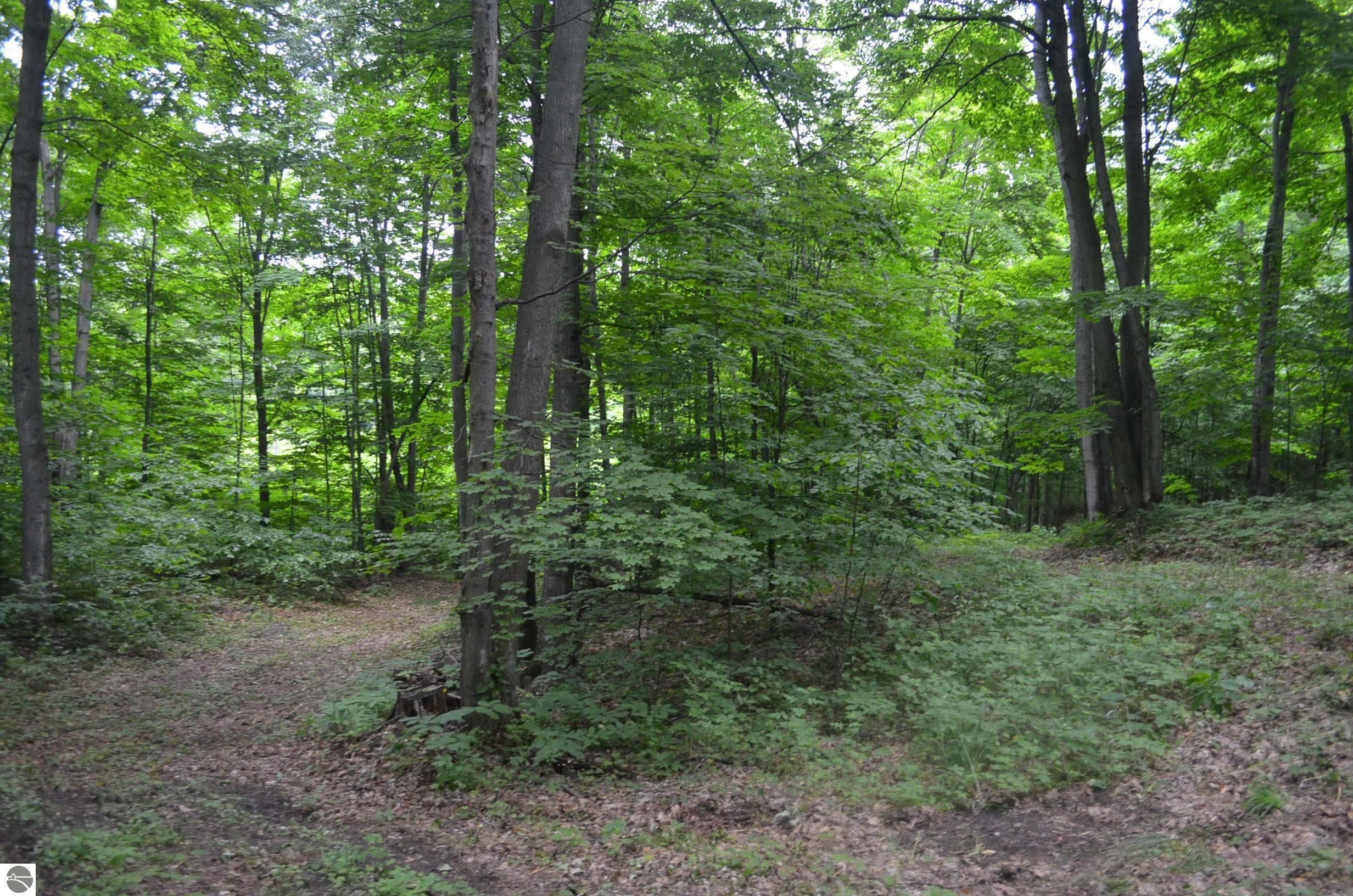 Property Photo:  Lot B N Mariah Lane  MI 49670-9411 