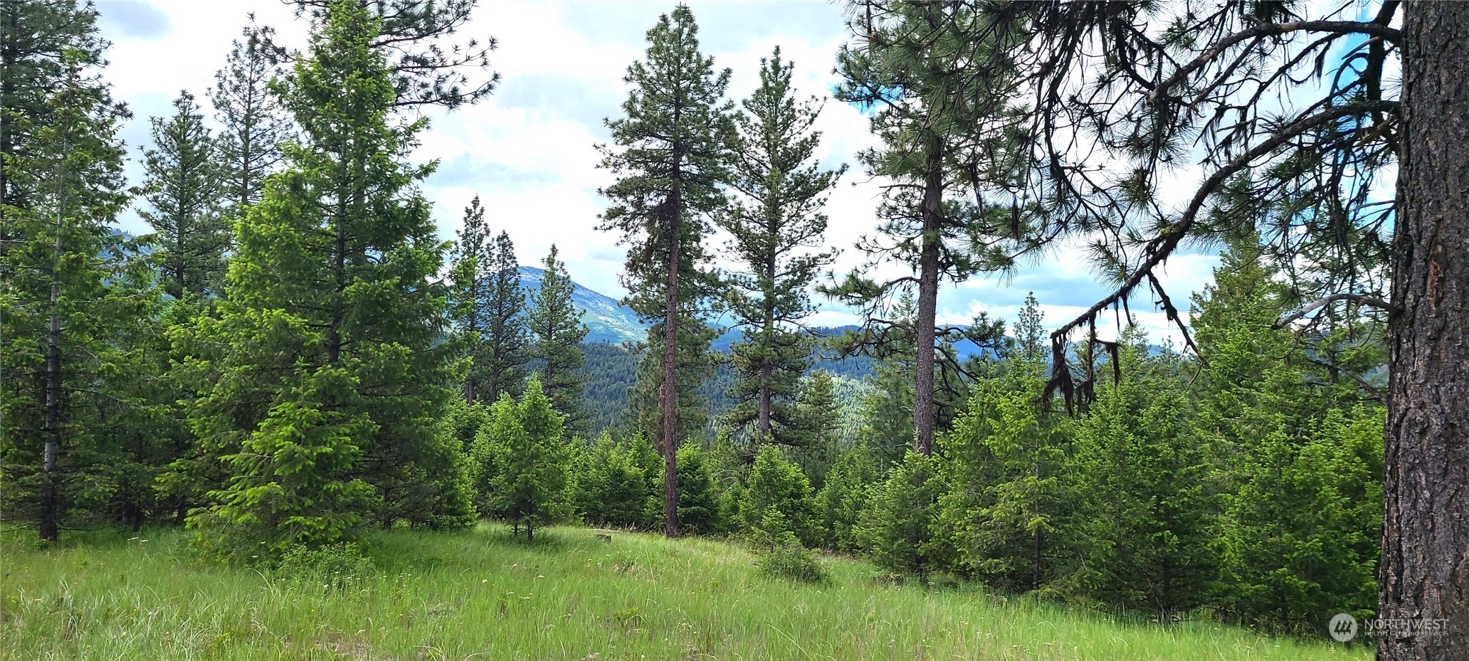 Property Photo:  0 Lot 2 Old Kettle Falls Road  WA 99166 