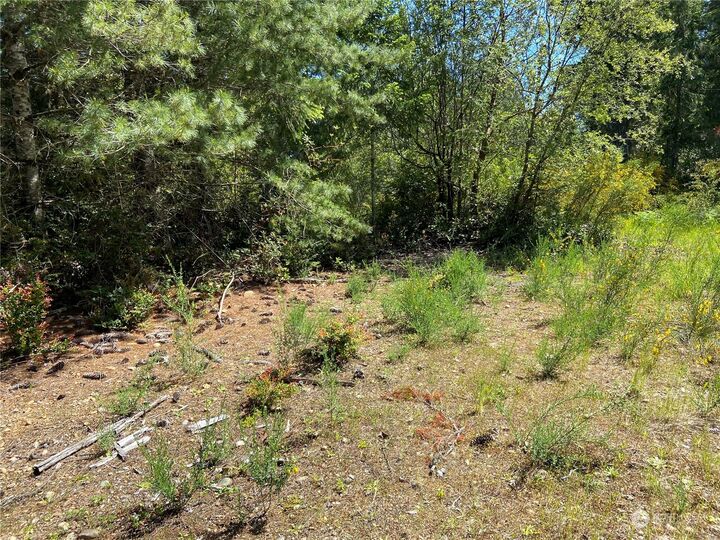 Property Photo: 161 E Coon Drive N WA 98528