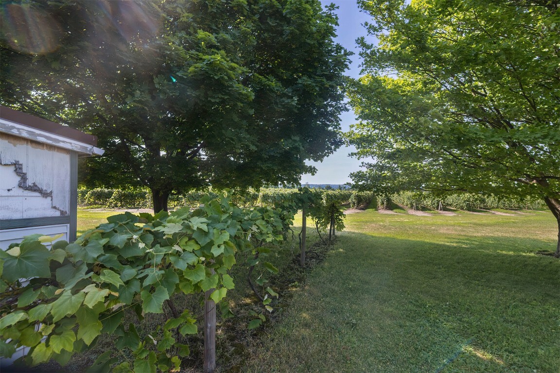 Property Photo:  9891 W Main Road  PA 16428 