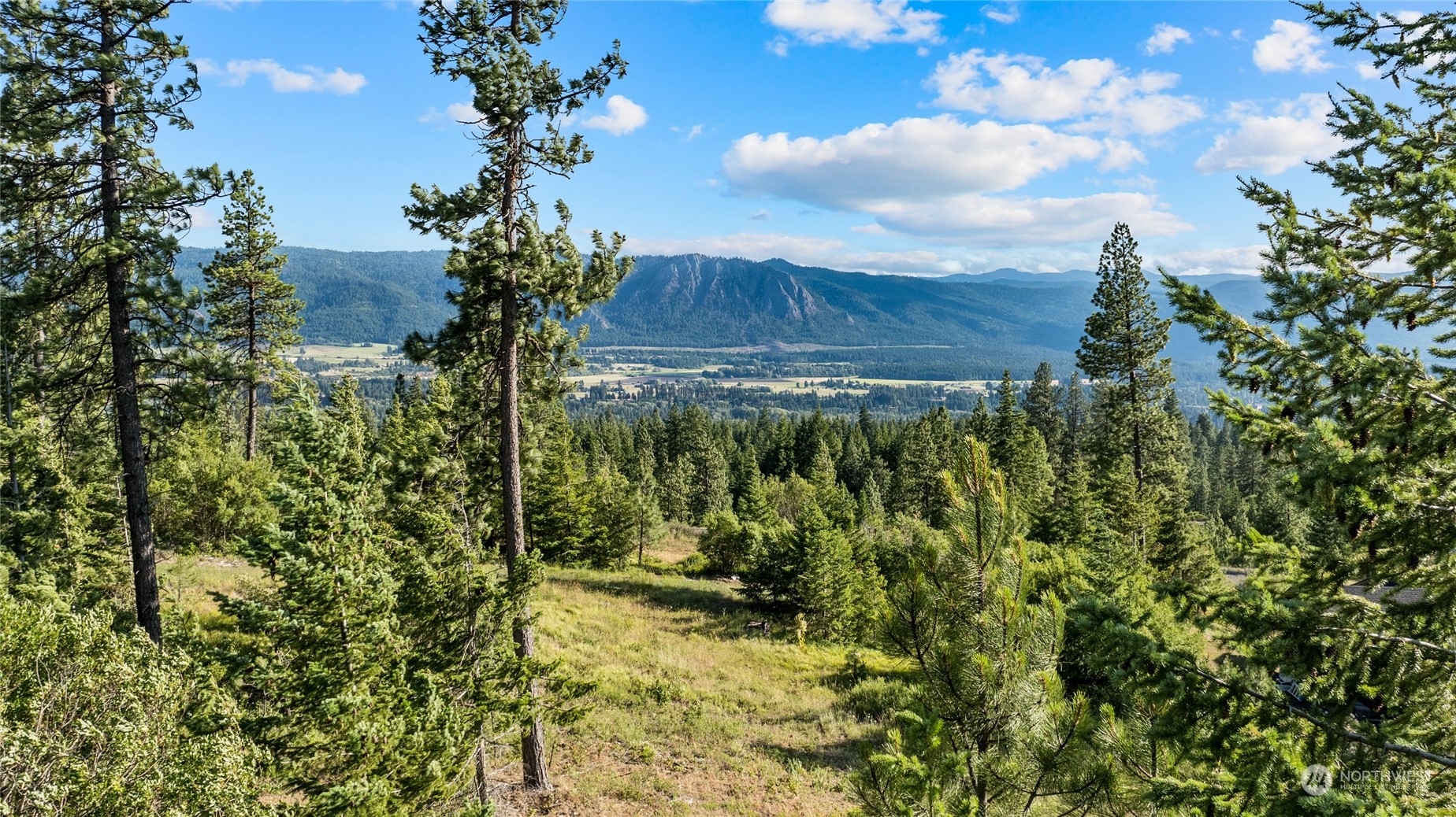 Property Photo:  18 Forest Ridge Drive  WA 98922 