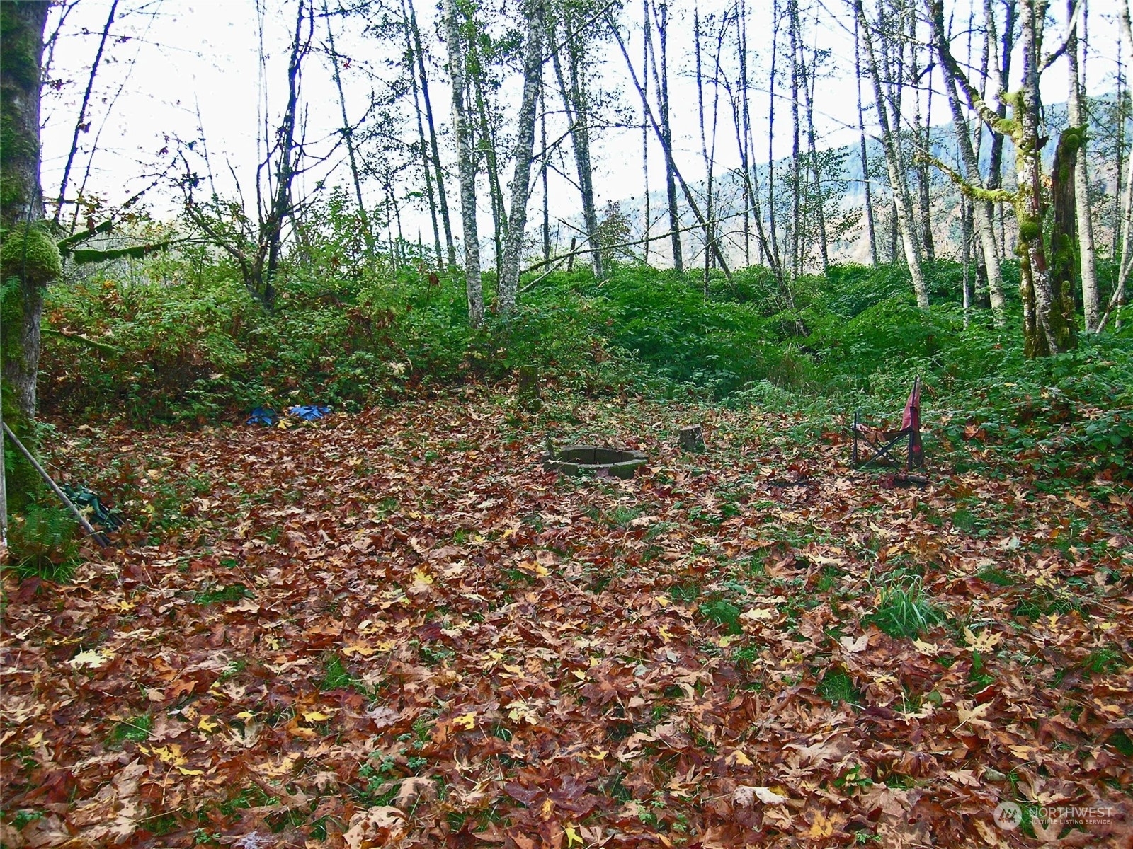 Property Photo:  5973 North Fork Rd  WA 98244 