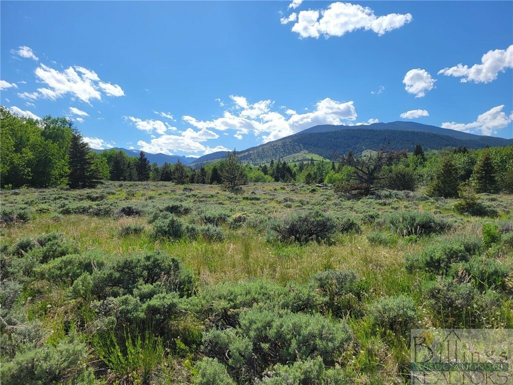 Property Photo:  Tract 1B Dillon Road  MT 59068 