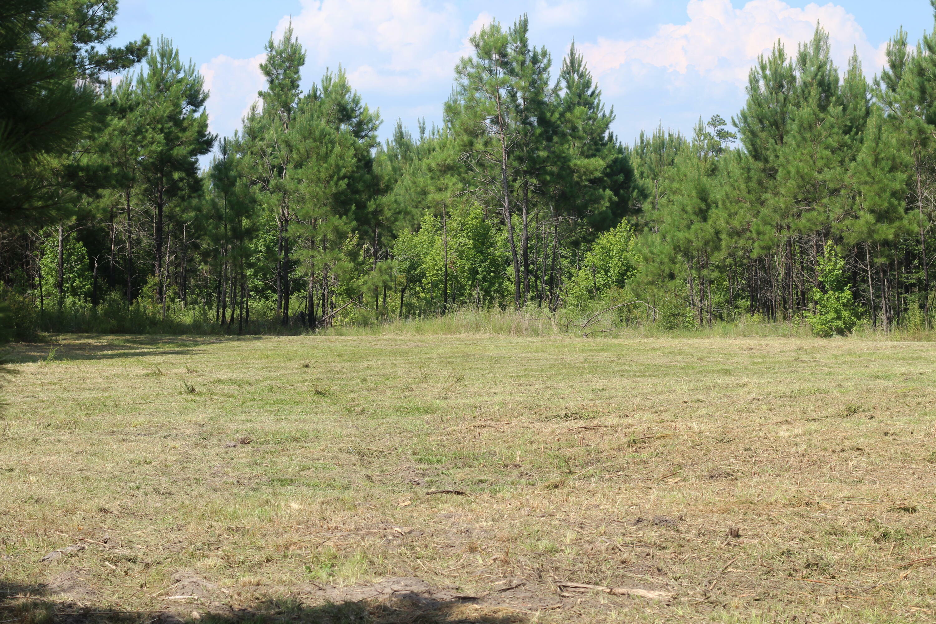 Property Photo:  0 Old Forreston Rd  SC 29056 