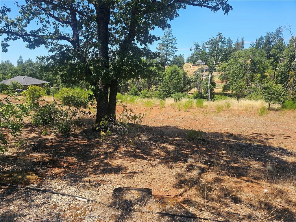 Property Photo:  5247 Falcons View Court  CA 95969 