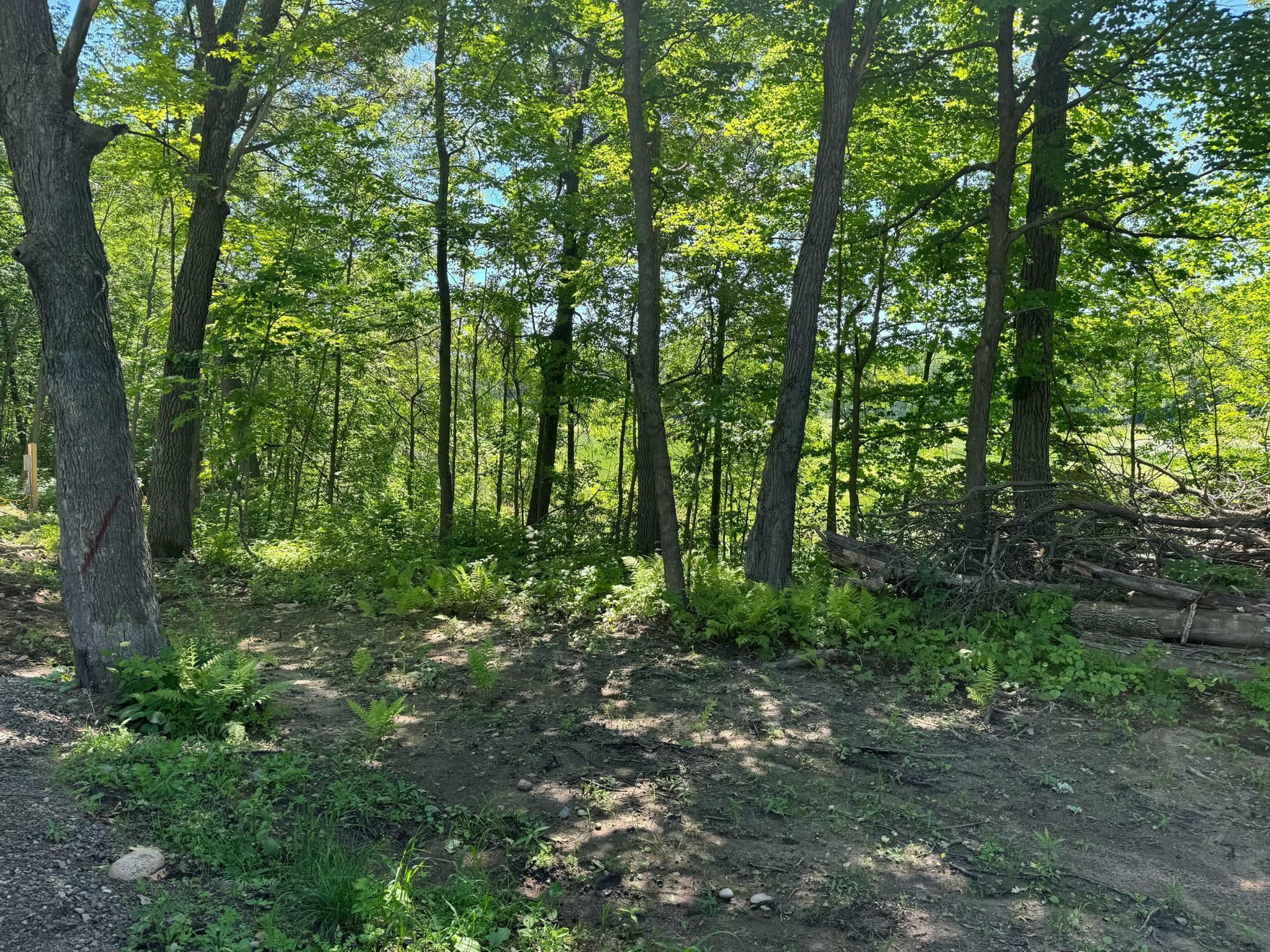 Property Photo:  Lot 7+8 Baffie Bend  MN 56450 