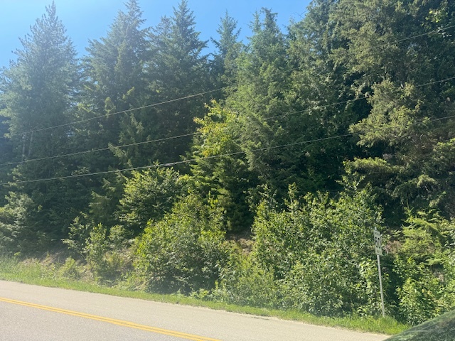 Photo de la propriété:  Lot 71 Squilax-Anglemont Road  BC V0E 1M9 