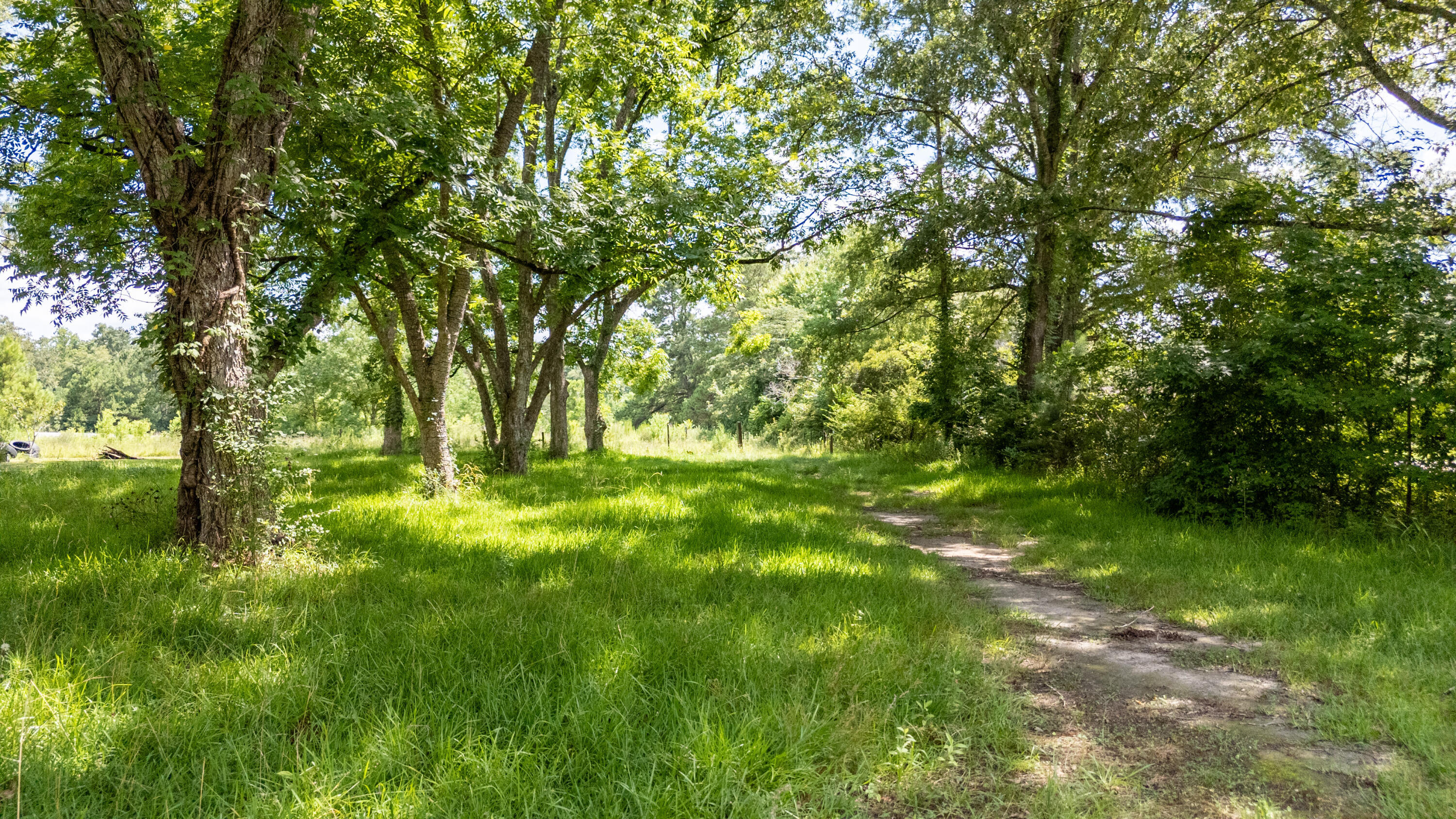 Property Photo: 00 Greyback Road SC 29483