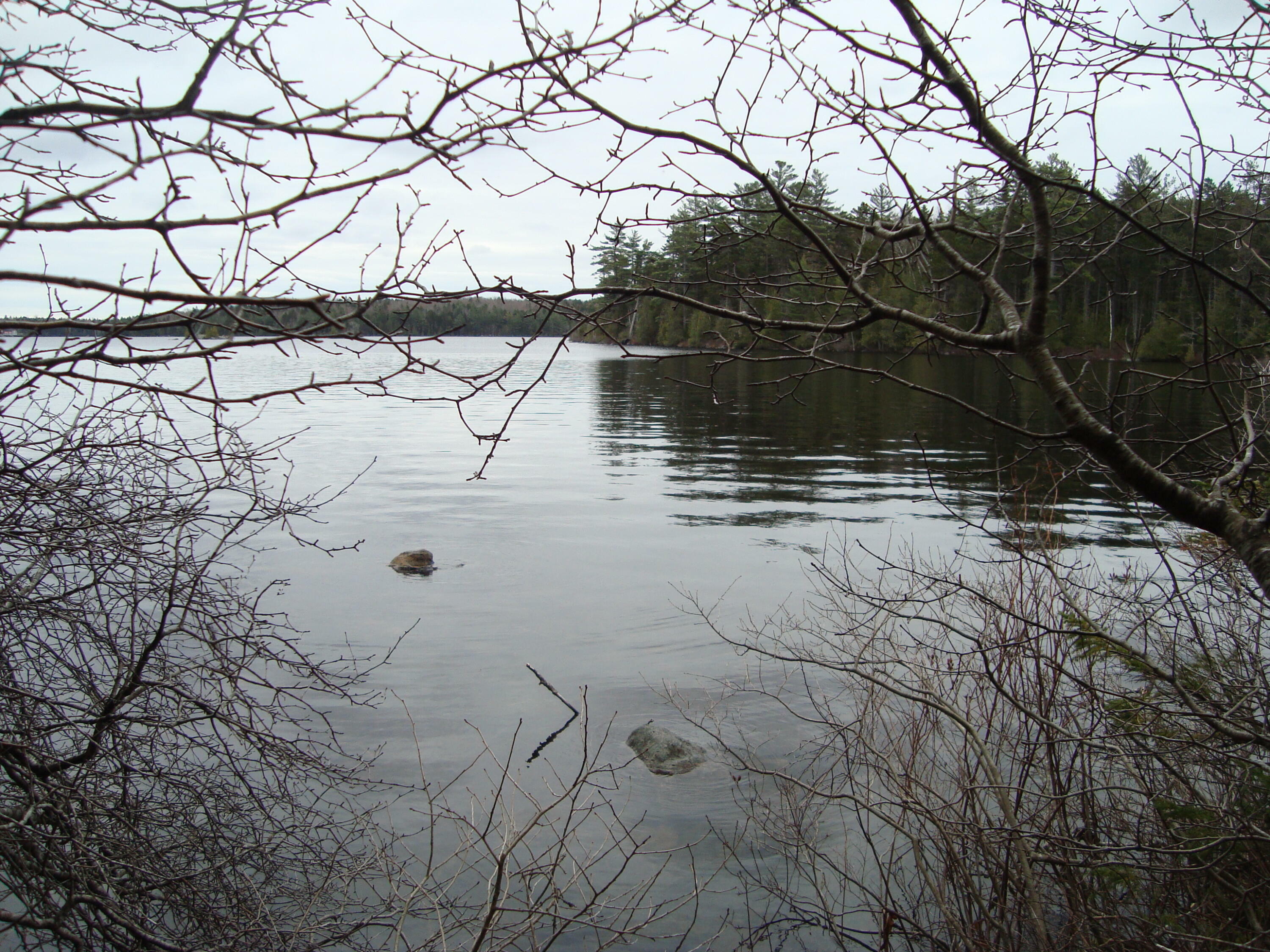 Property Photo:  Lot I Birch Point Road  ME 04657 