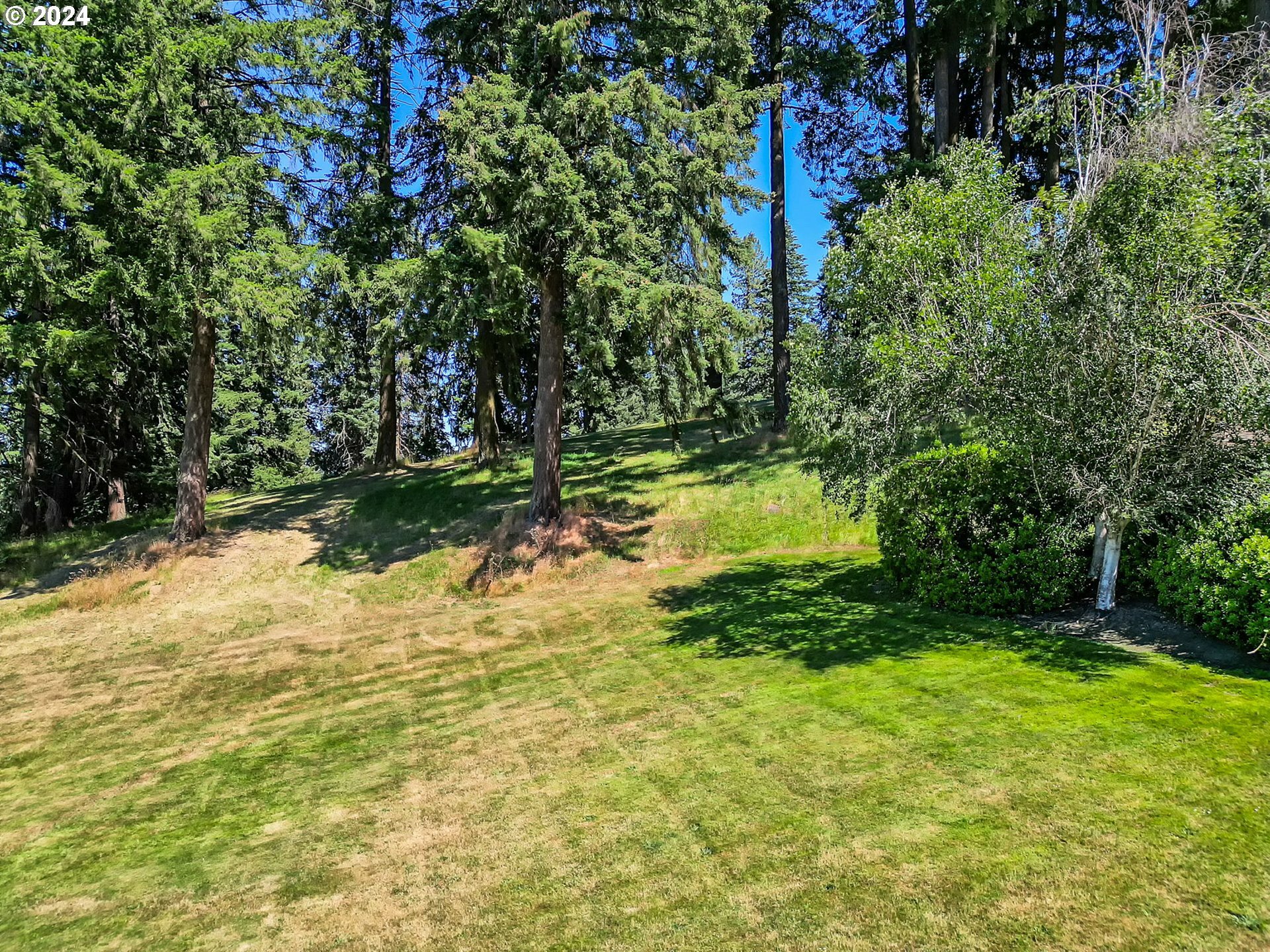 Property Photo: McLean Blvd OR 97401