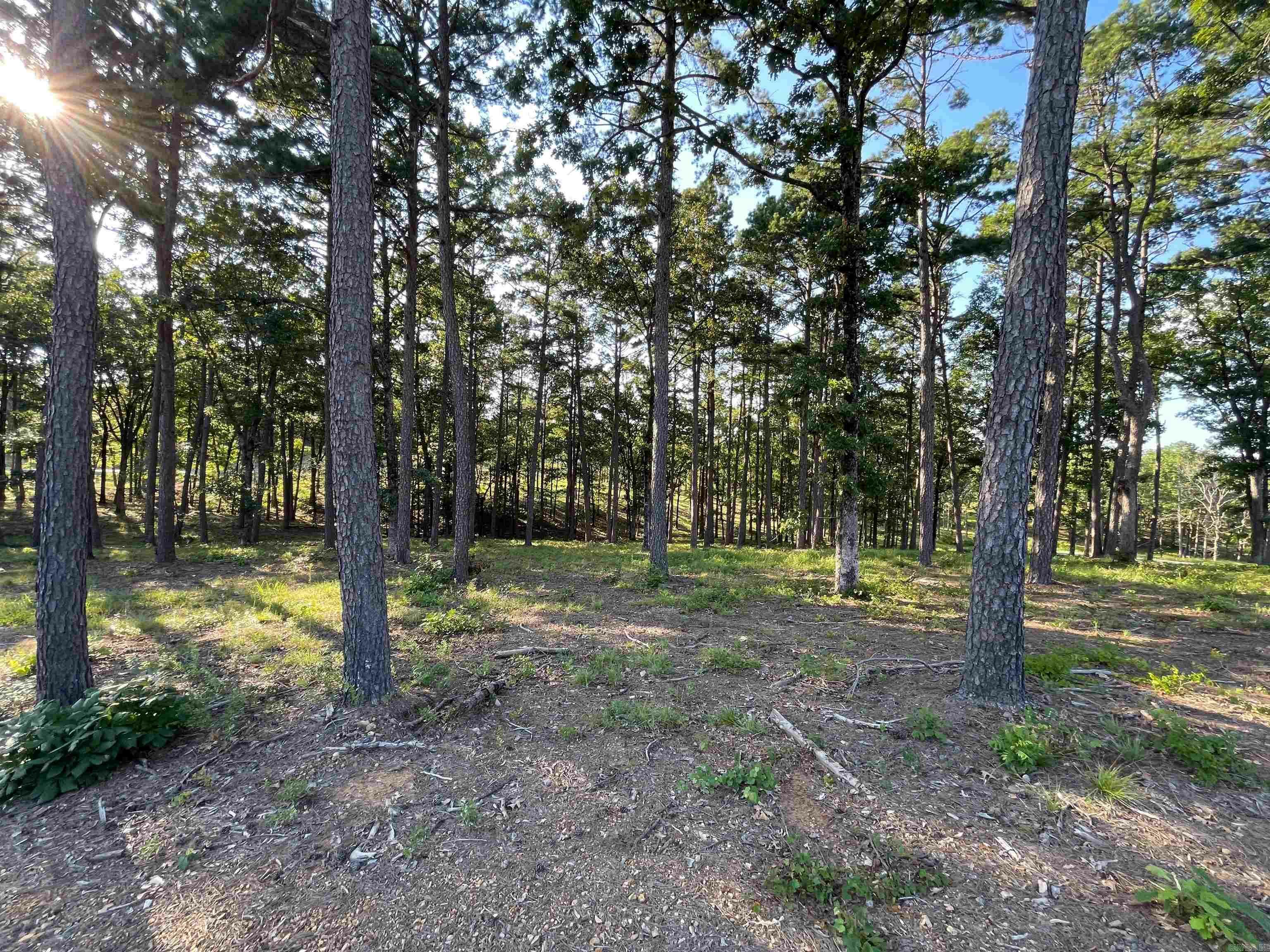 Property Photo:  Lot 6 Orchard Hill  AR 72034 