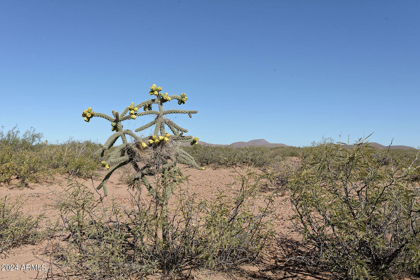 Property Photo:  Tbd W Agua Blanca Road -  AZ 85610 