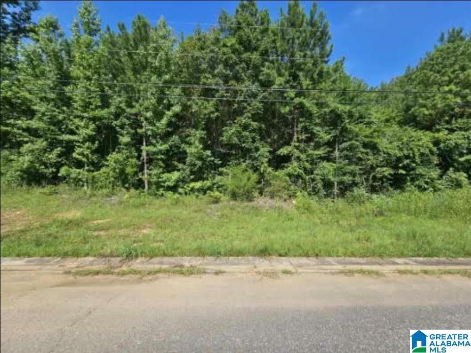 Property Photo:  Lot 7 Woodhaven Drive 7  AL 35128 