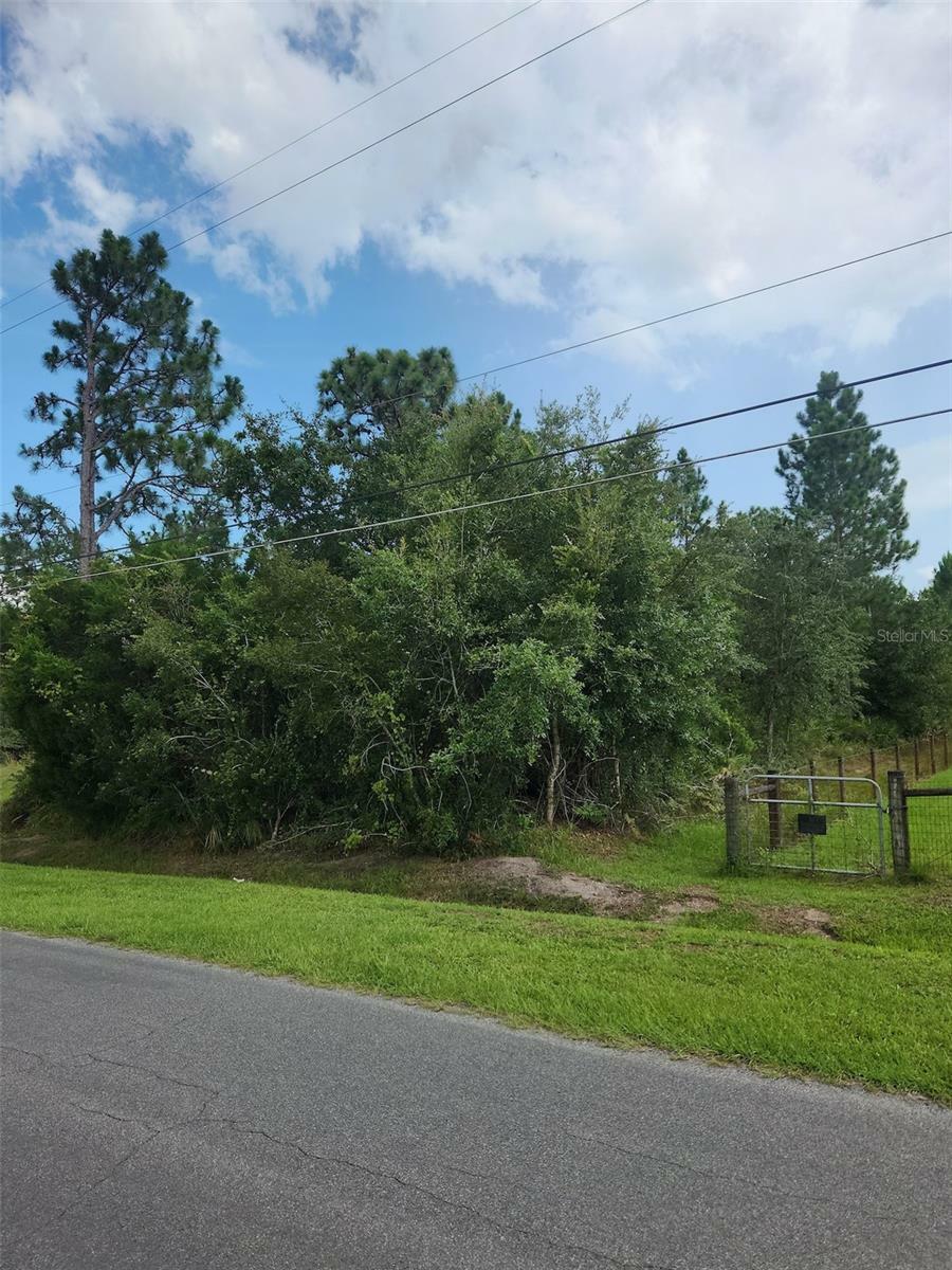 Property Photo:  Ralston Street  FL 32833 