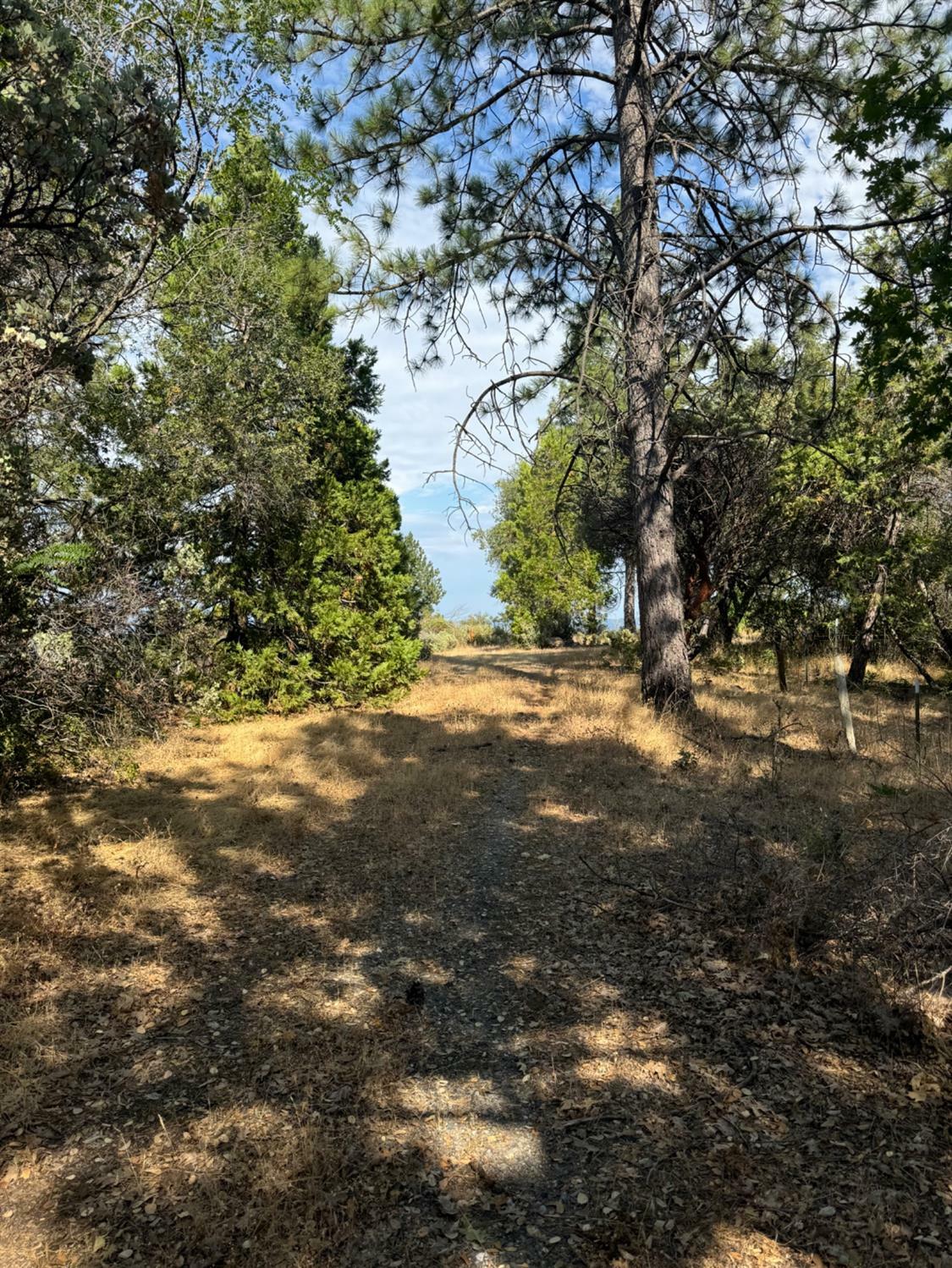 Property Photo:  9741 Wendell Road  CA 95246 