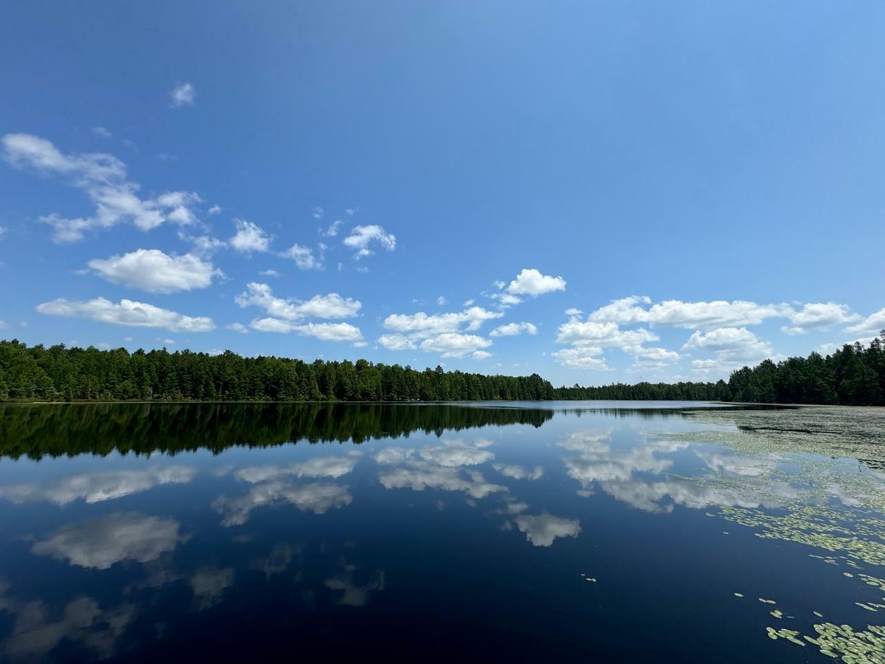 Property Photo:  2134N Flowage Rd  WI 54552 