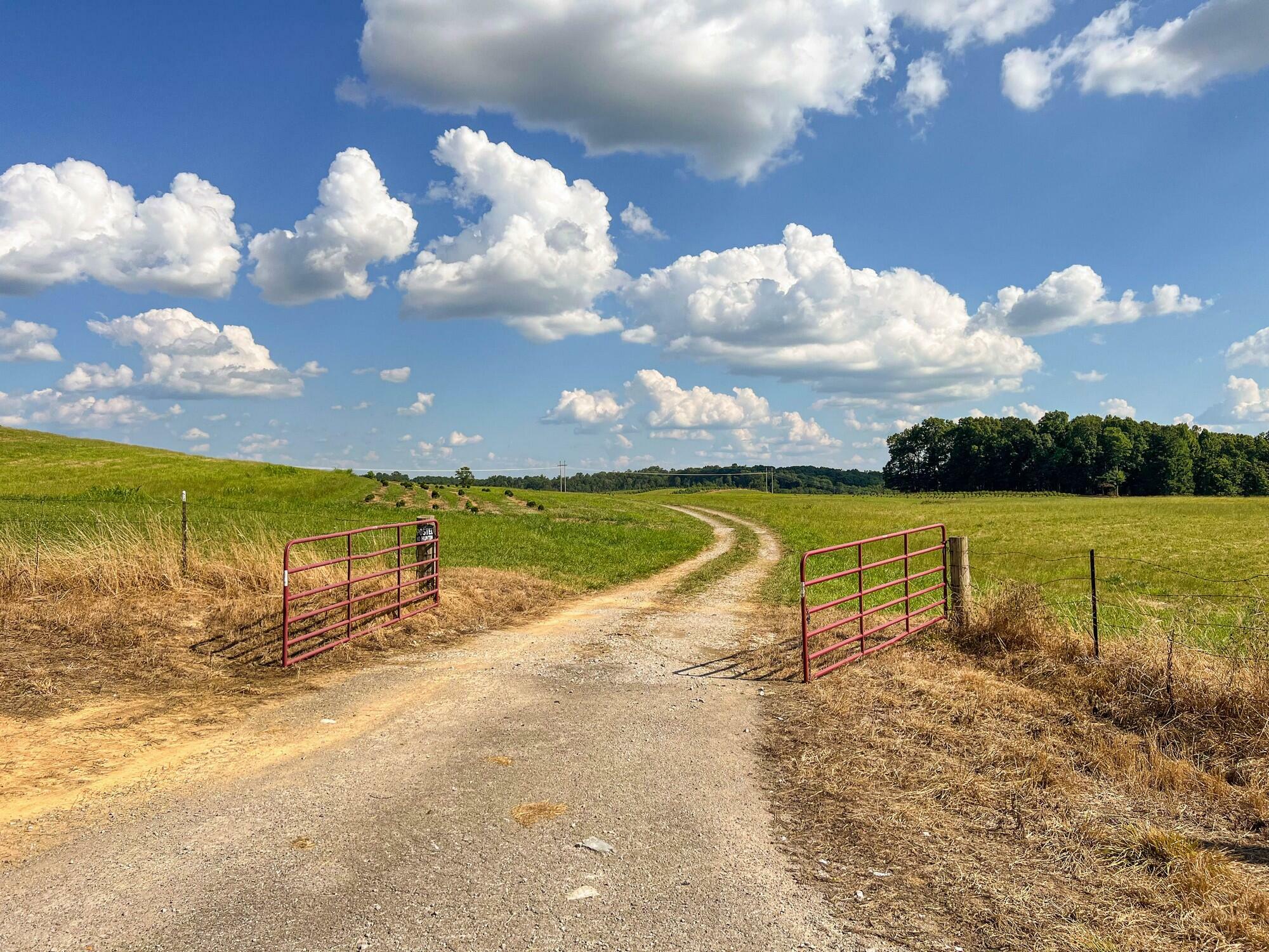 Property Photo: 8599 Keavy Road KY 40741