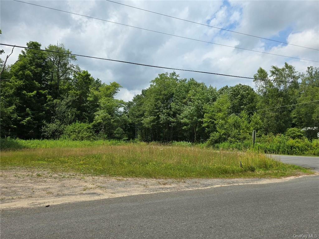 Property Photo:  McIntosh Road  NY 12733 