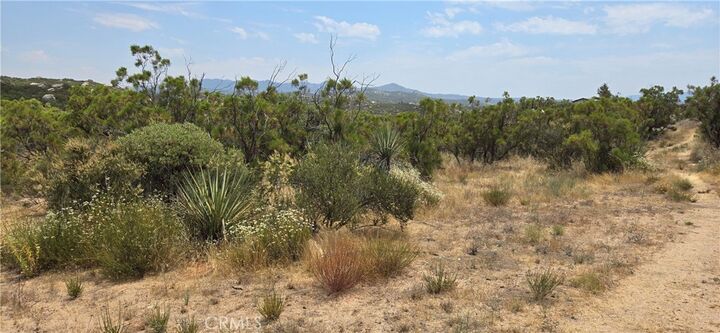 Property Photo:  1011 Roan Way  CA 92536 